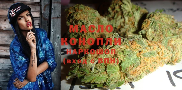 тгк Пересвет