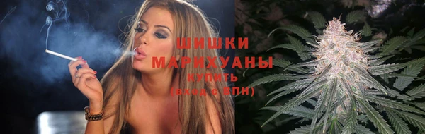 PSILOCYBIN Переславль-Залесский