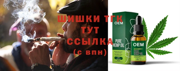 тгк Пересвет