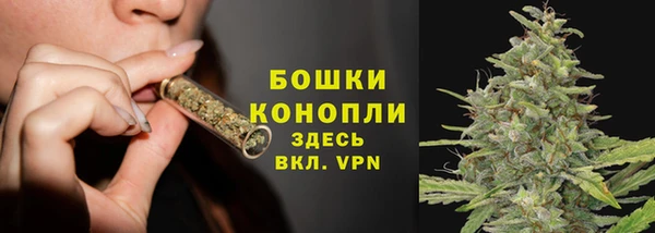 тгк Пересвет
