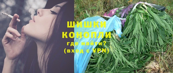 тгк Пересвет