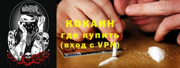 PSILOCYBIN Переславль-Залесский