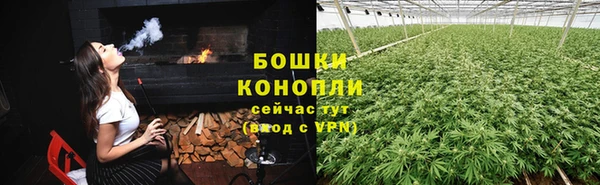 тгк Пересвет